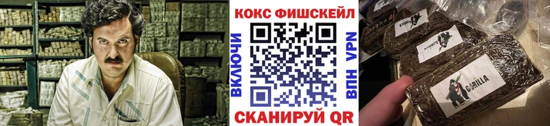 Купить где Судак КОКАИН Эквадор