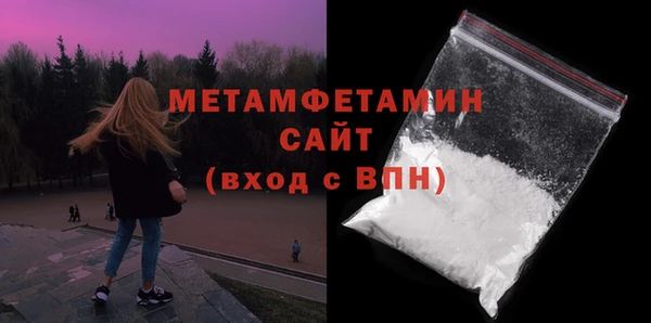 сатива Каменка