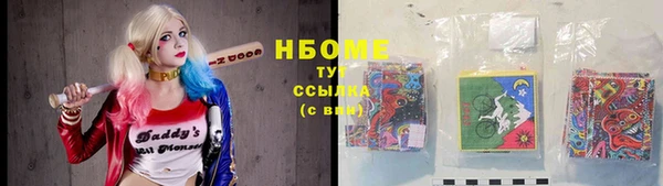 сатива Каменка