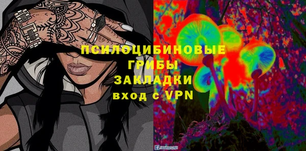 сатива Каменка