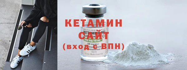 сатива Каменка