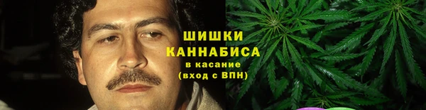 сатива Каменка