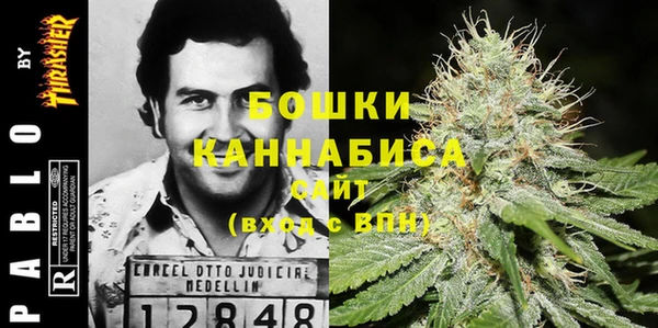 сатива Каменка