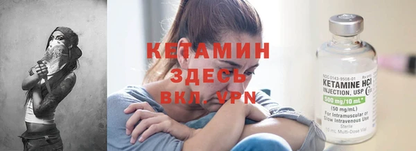 сатива Каменка