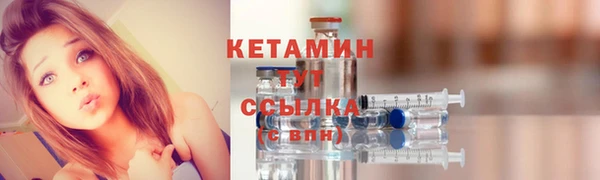 сатива Каменка