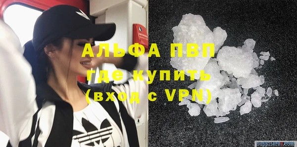 сатива Каменка