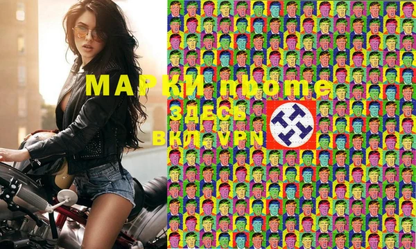сатива Каменка