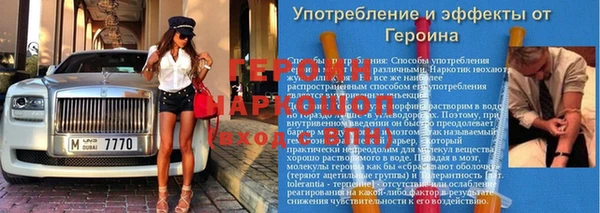 сатива Каменка