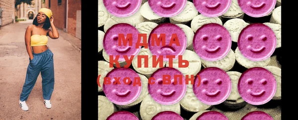 сатива Каменка