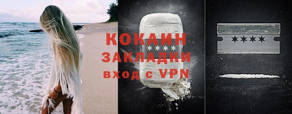 ГАЛЛЮЦИНОГЕННЫЕ ГРИБЫ Касимов