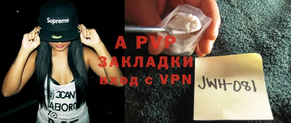 ГАЛЛЮЦИНОГЕННЫЕ ГРИБЫ Касимов