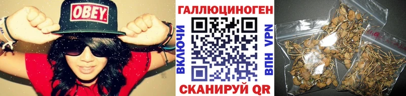 Псилоцибиновые грибы Psilocybe  Купить где  Судак 